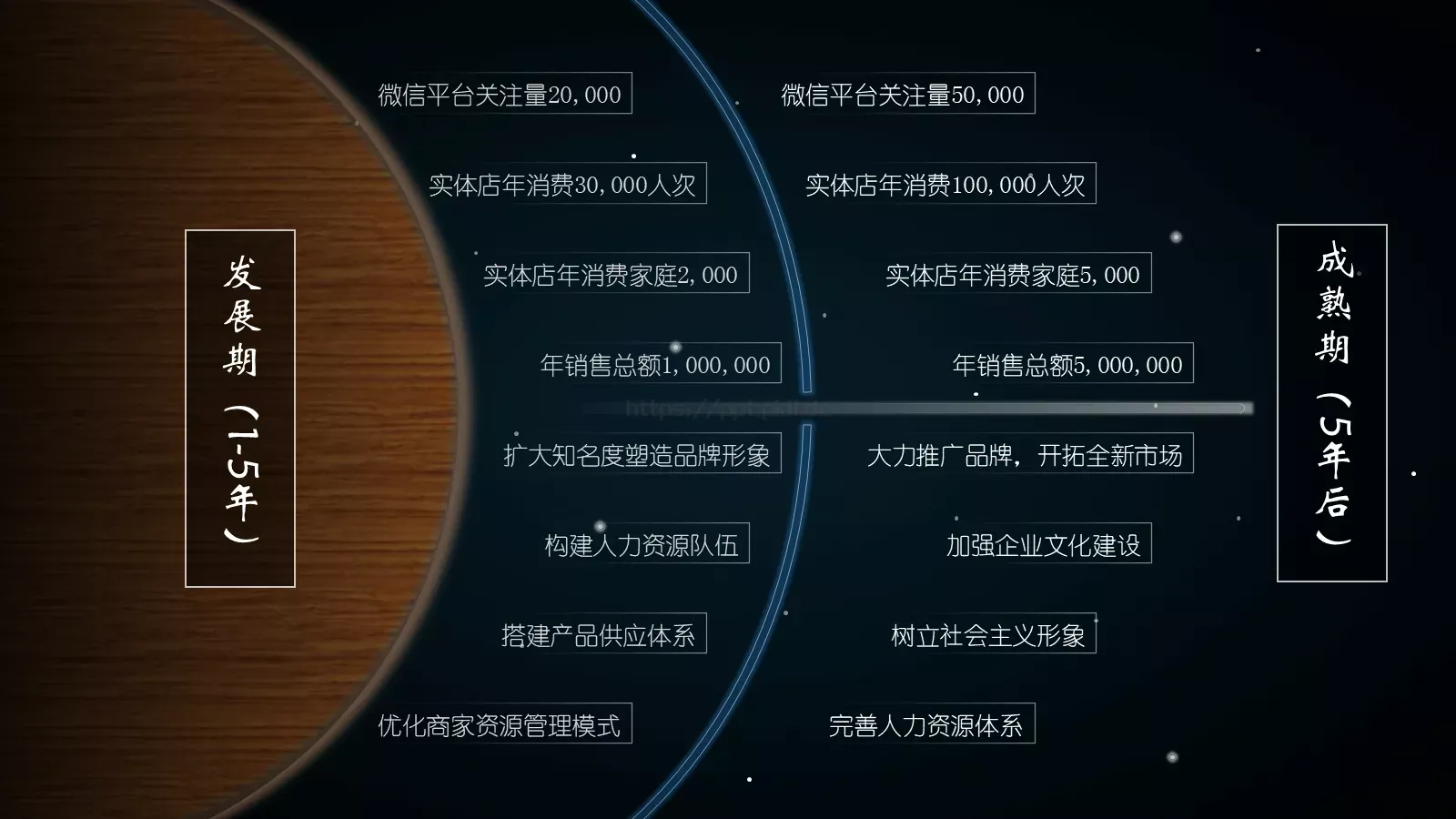 全世界约有盲人介绍PPT模板 第 8 页预览图