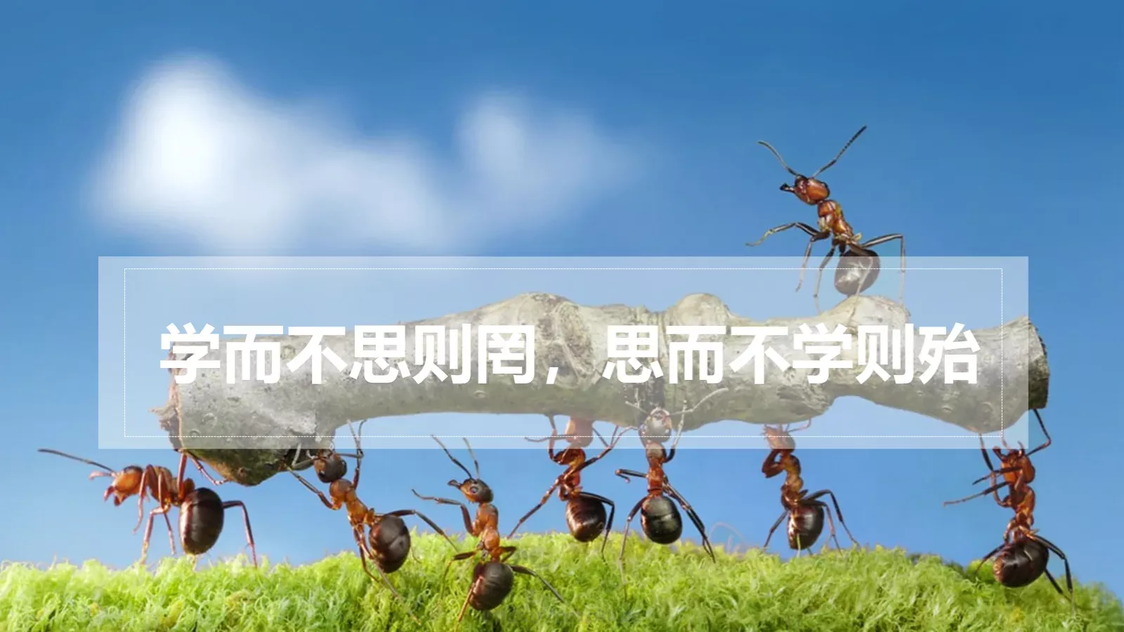 职业化培训课件 第 20 页预览图