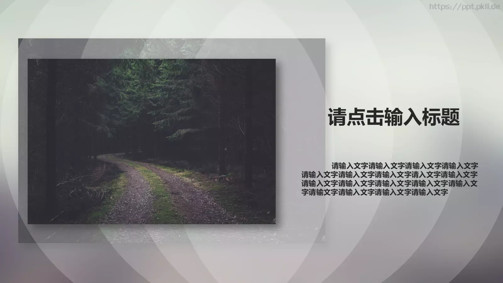 第一季度工作汇报PPT模板 第 4 页缩略图