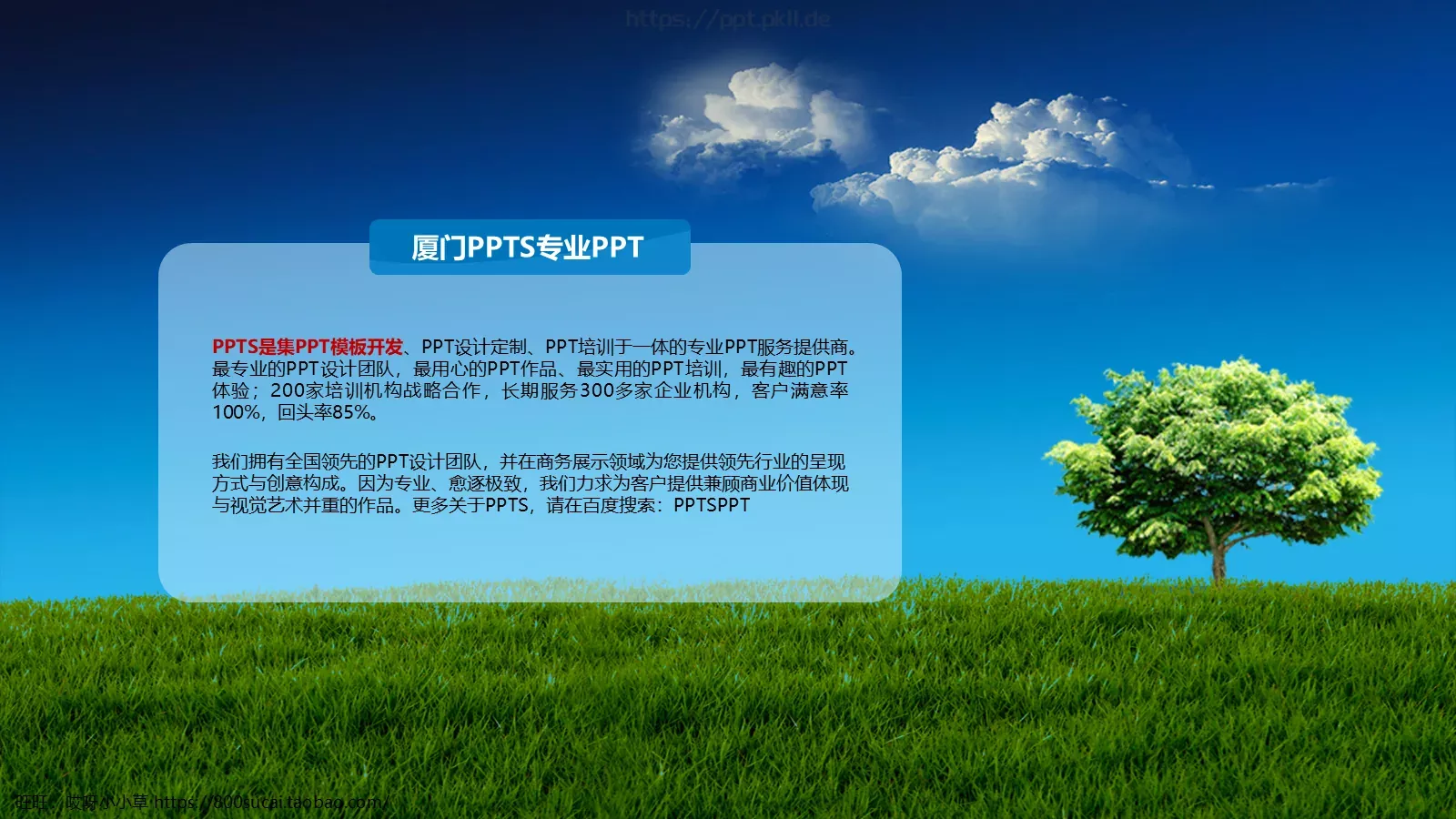 工作总结模板 第 8 页预览图