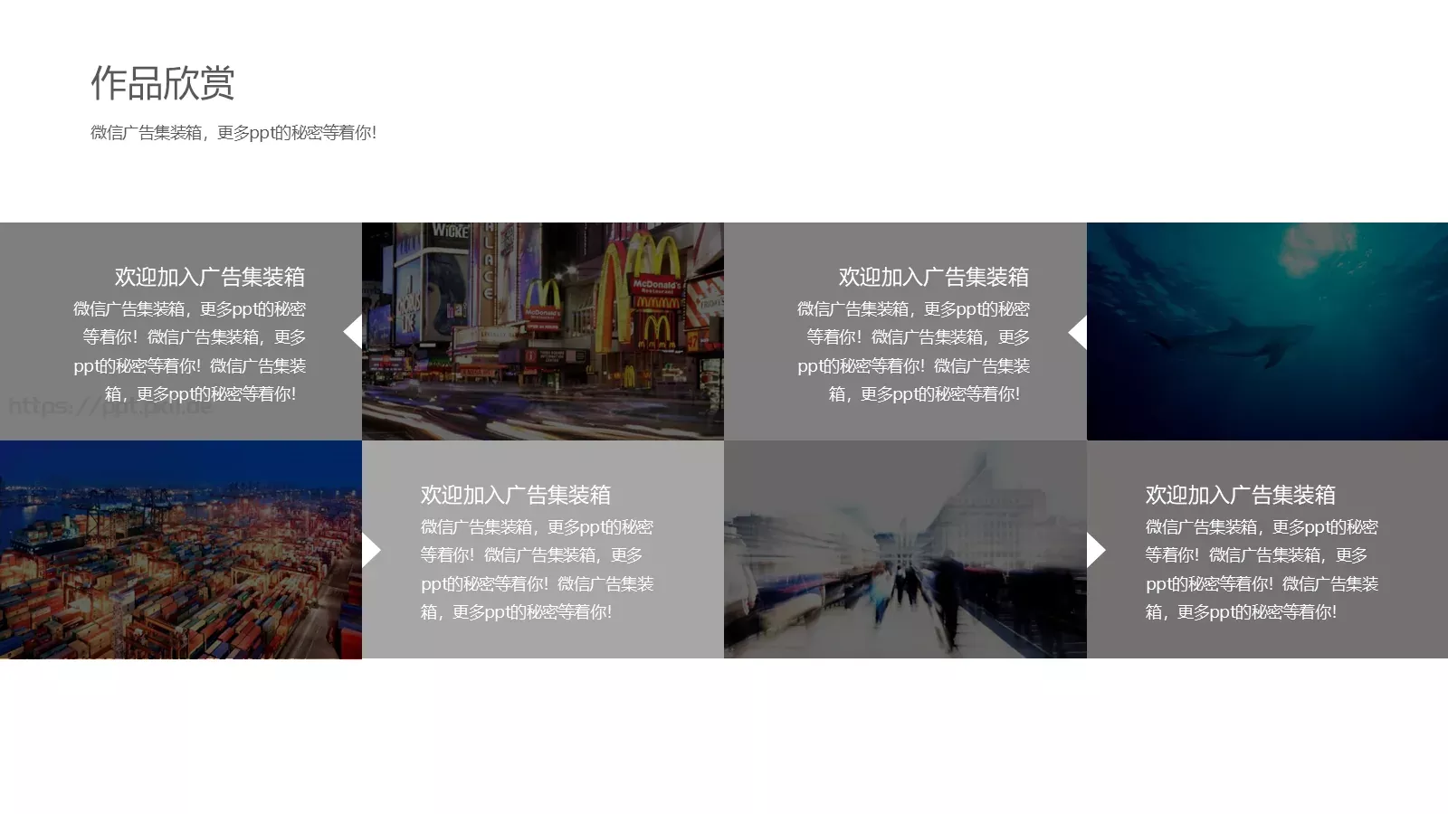 个人简历PPT模板 第 8 页预览图