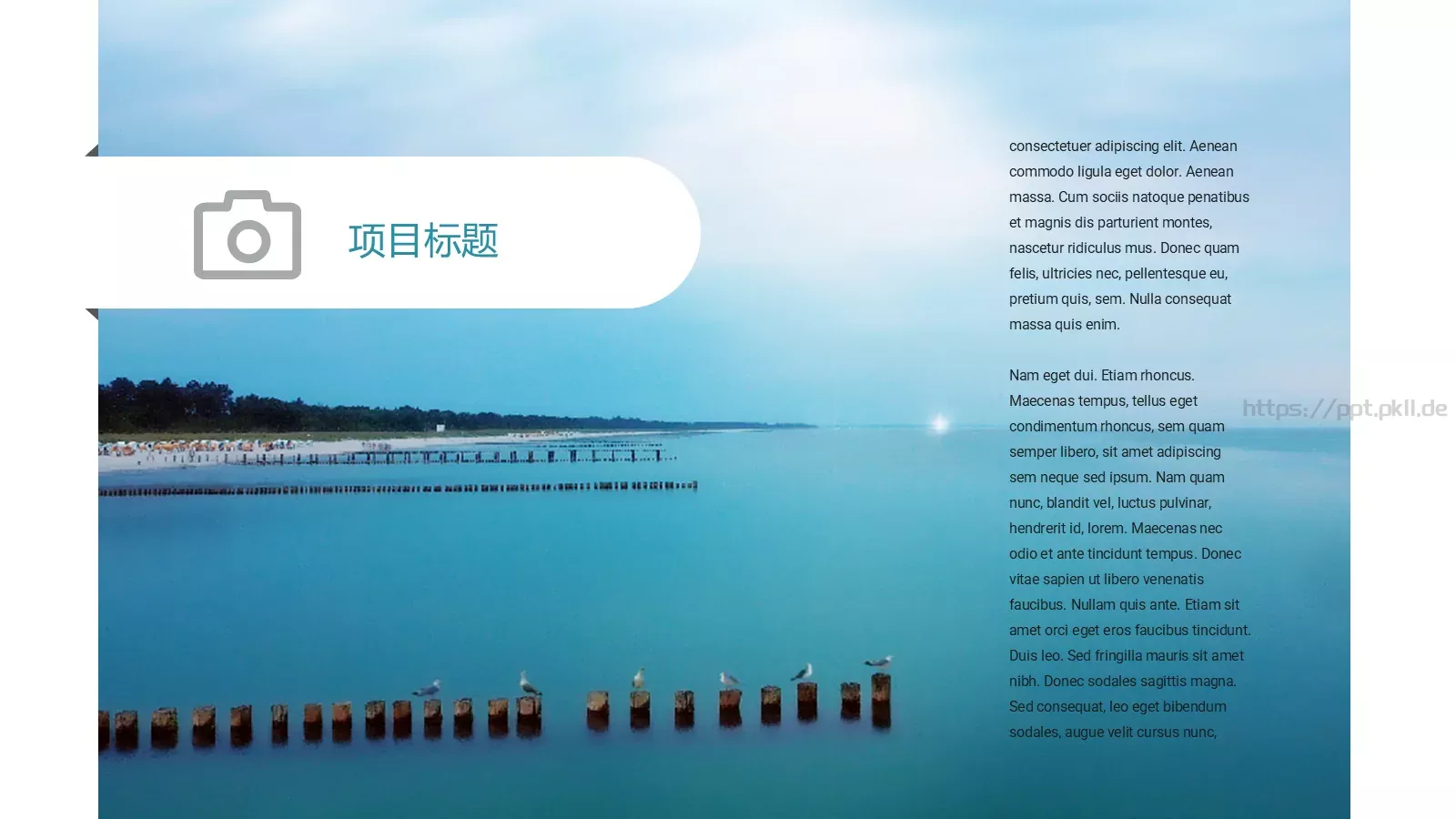 商务汇报模板演示 第 2 页缩略图