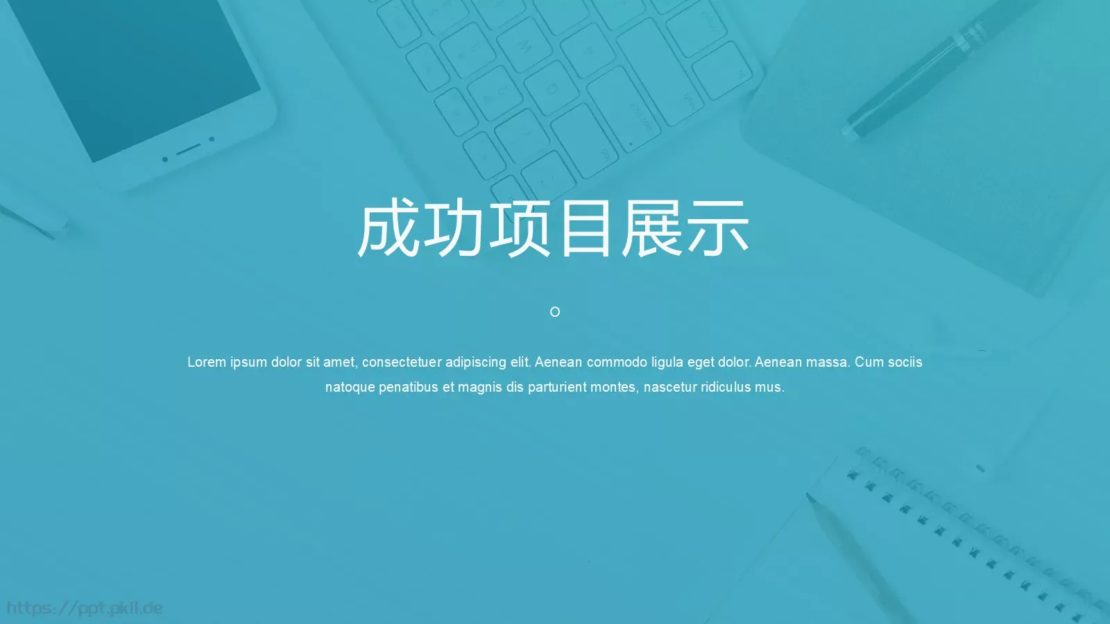 年度工作总结与计划PPT模板 第 5 页预览图