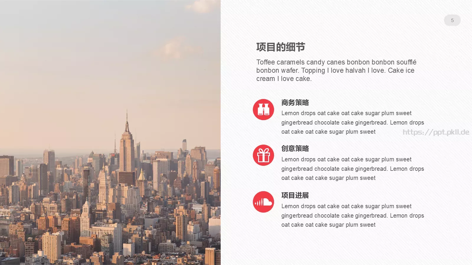 公司介绍商务汇报模板 第 5 页预览图