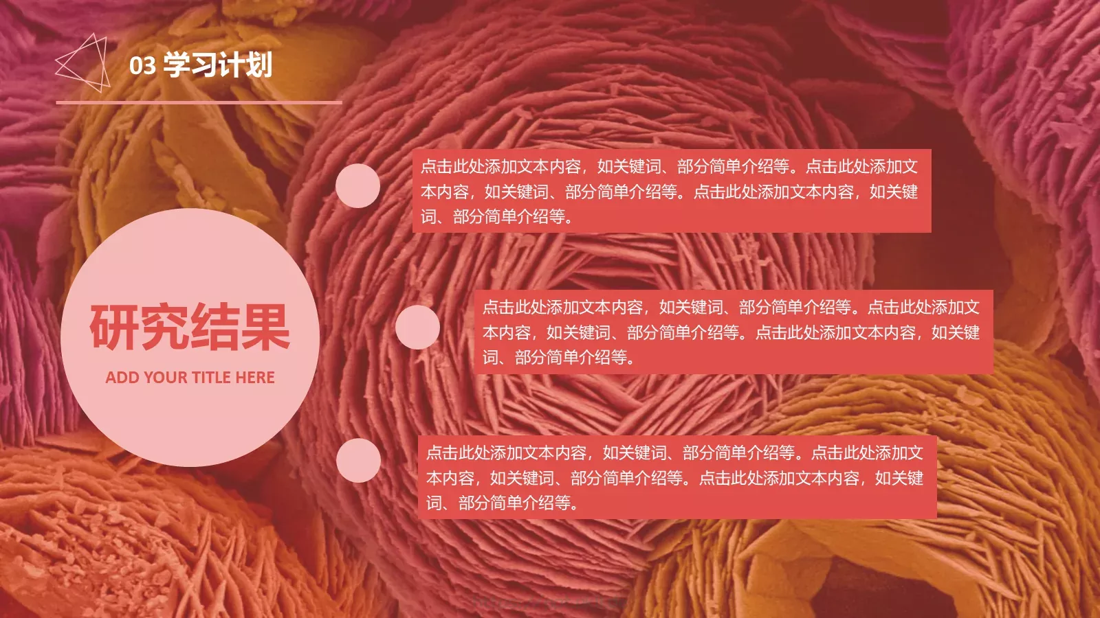 期末汇报PPT模板 第 14 页预览图