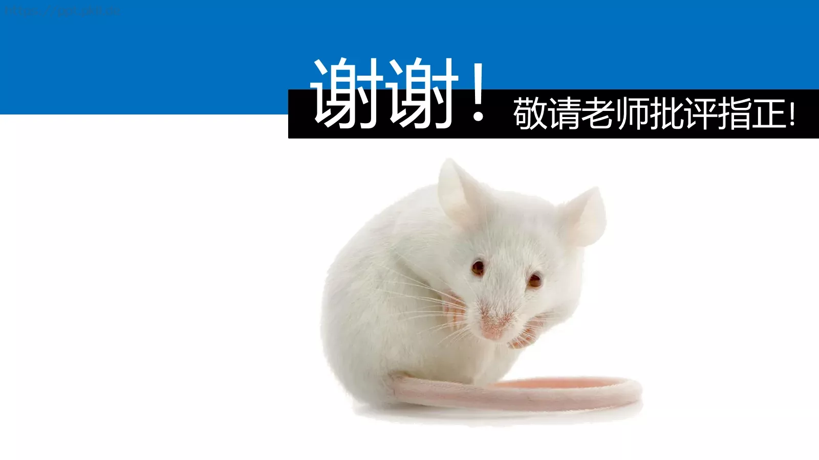 药物制剂论文答辩PPT模板 第 12 页预览图