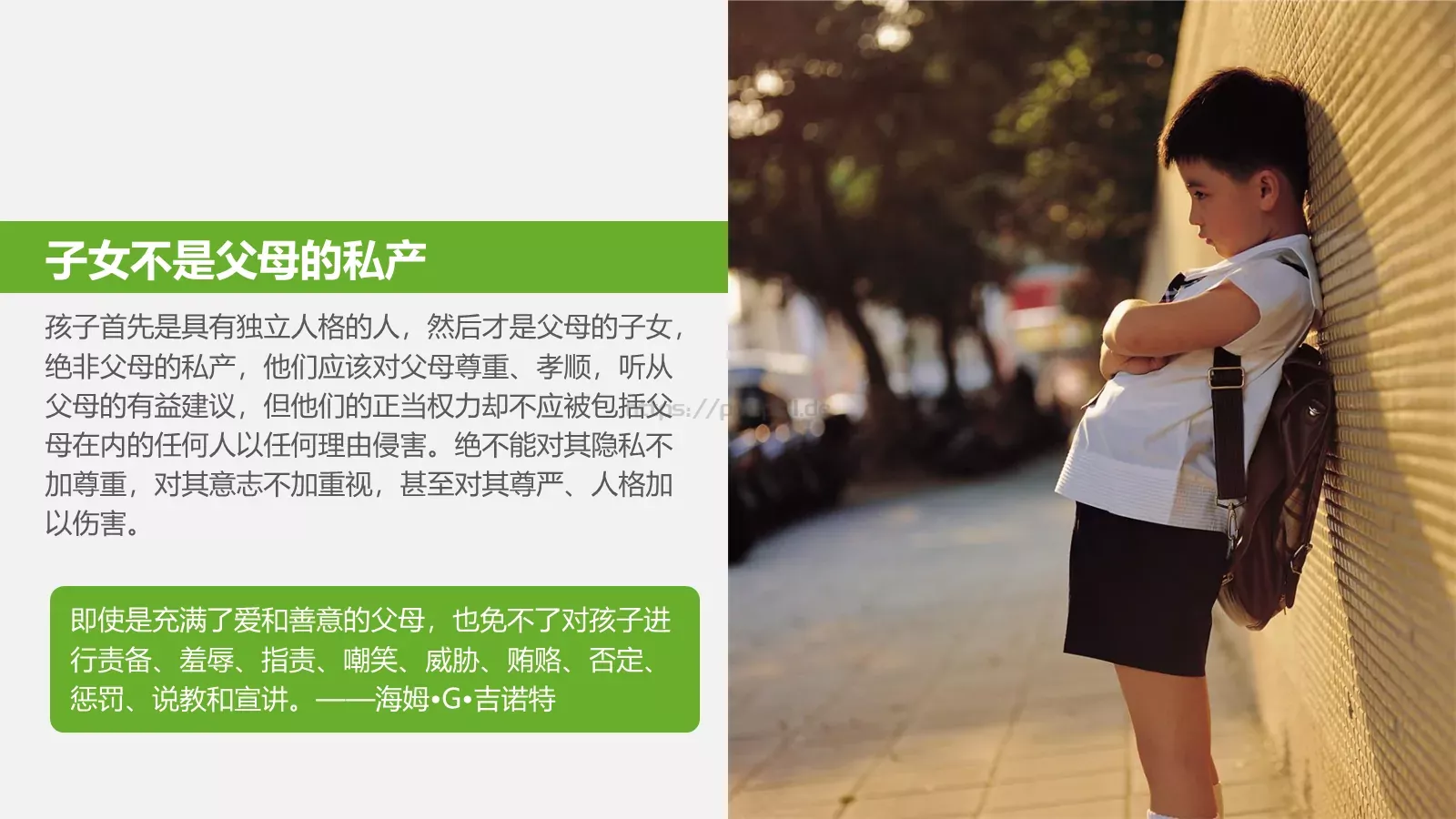 教育培训通用PPT模板 第 28 页预览图