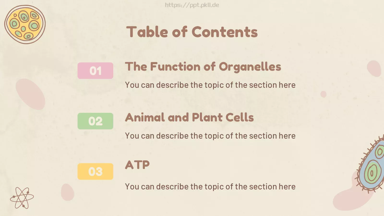 九年级细胞生物学科学课件 第 5 页预览图
