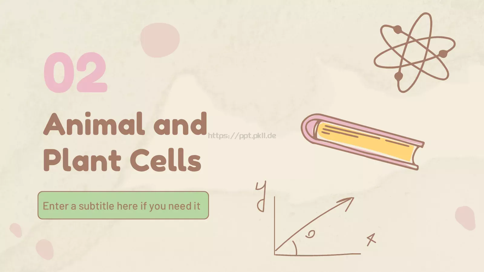九年级细胞生物学科学课件 第 13 页预览图