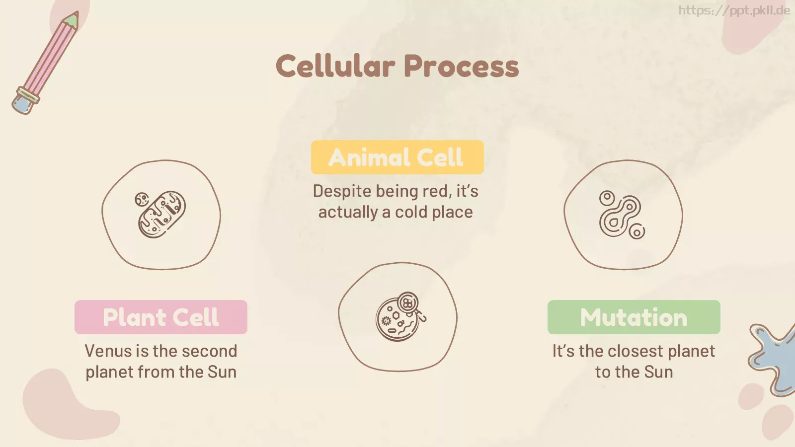 九年级细胞生物学科学课件 第 15 页预览图