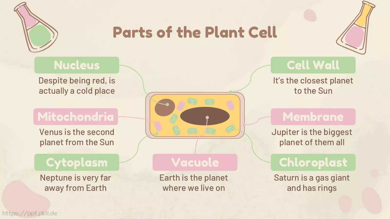 九年级细胞生物学科学课件 第 21 页预览图
