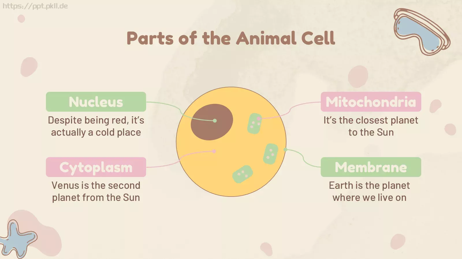 九年级细胞生物学科学课件 第 20 页预览图