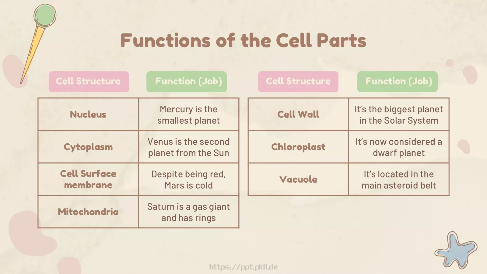 九年级细胞生物学科学课件 第 22 页预览图