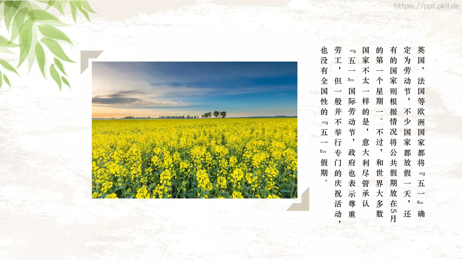最光荣节日庆典PPT模板 第 15 页预览图