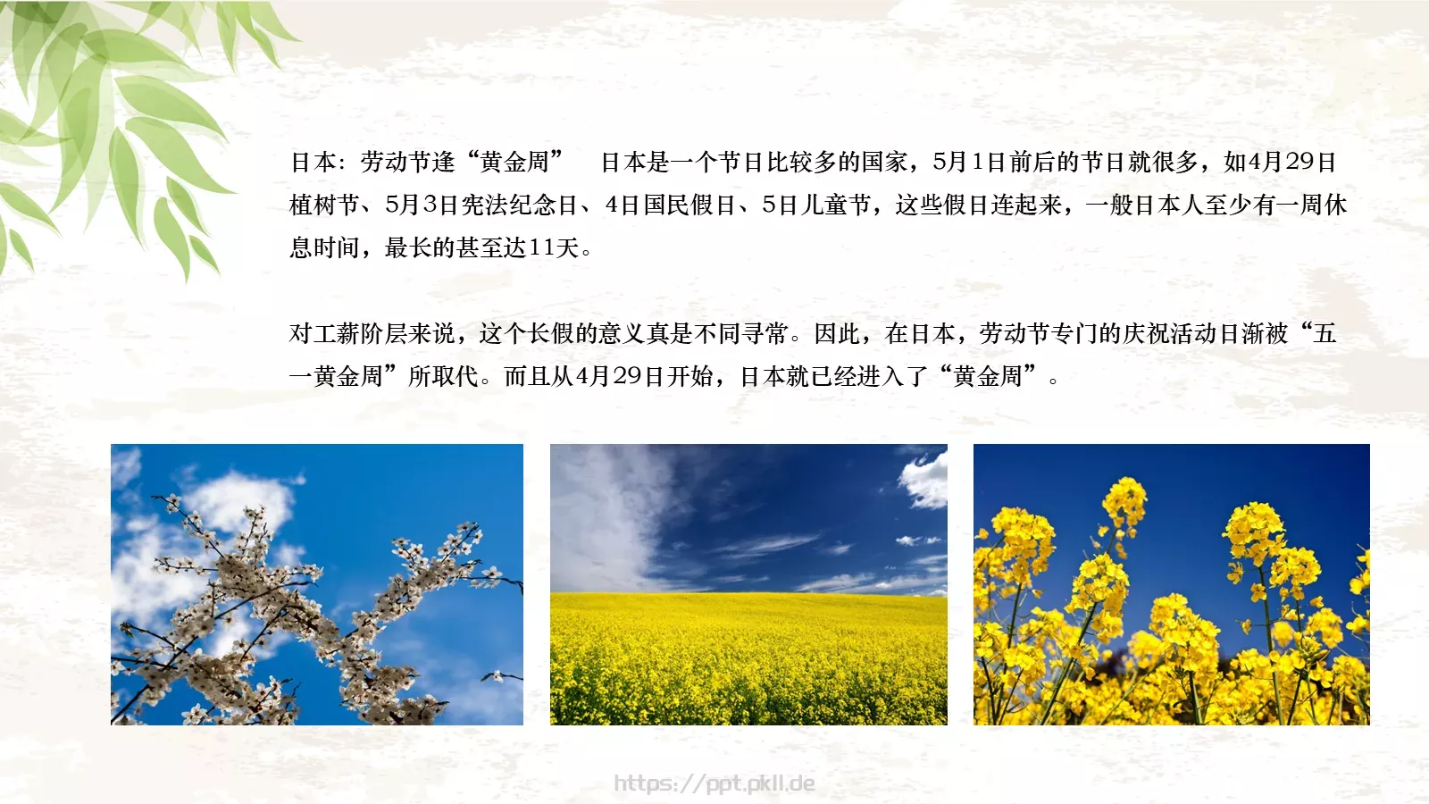 最光荣节日庆典PPT模板 第 18 页预览图