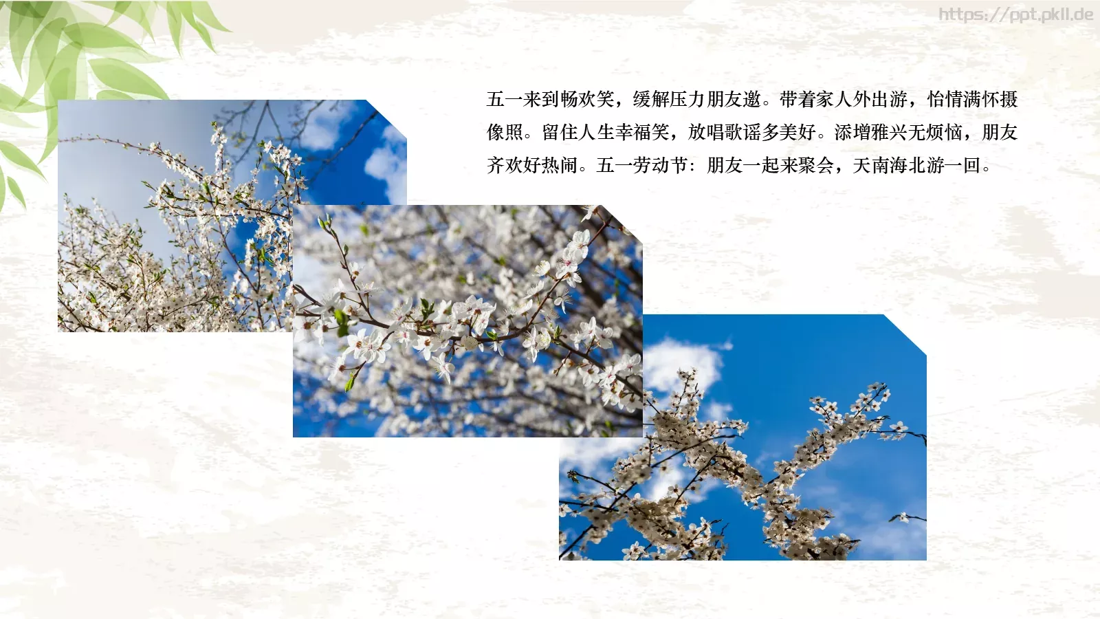 最光荣节日庆典PPT模板 第 20 页预览图