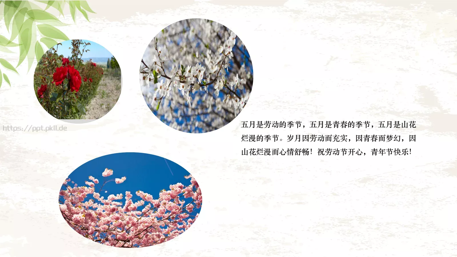 最光荣节日庆典PPT模板 第 24 页预览图