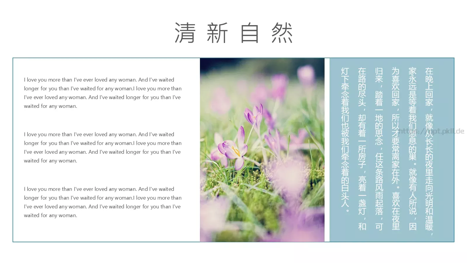 通用模板清新自然通用 第 4 页缩略图