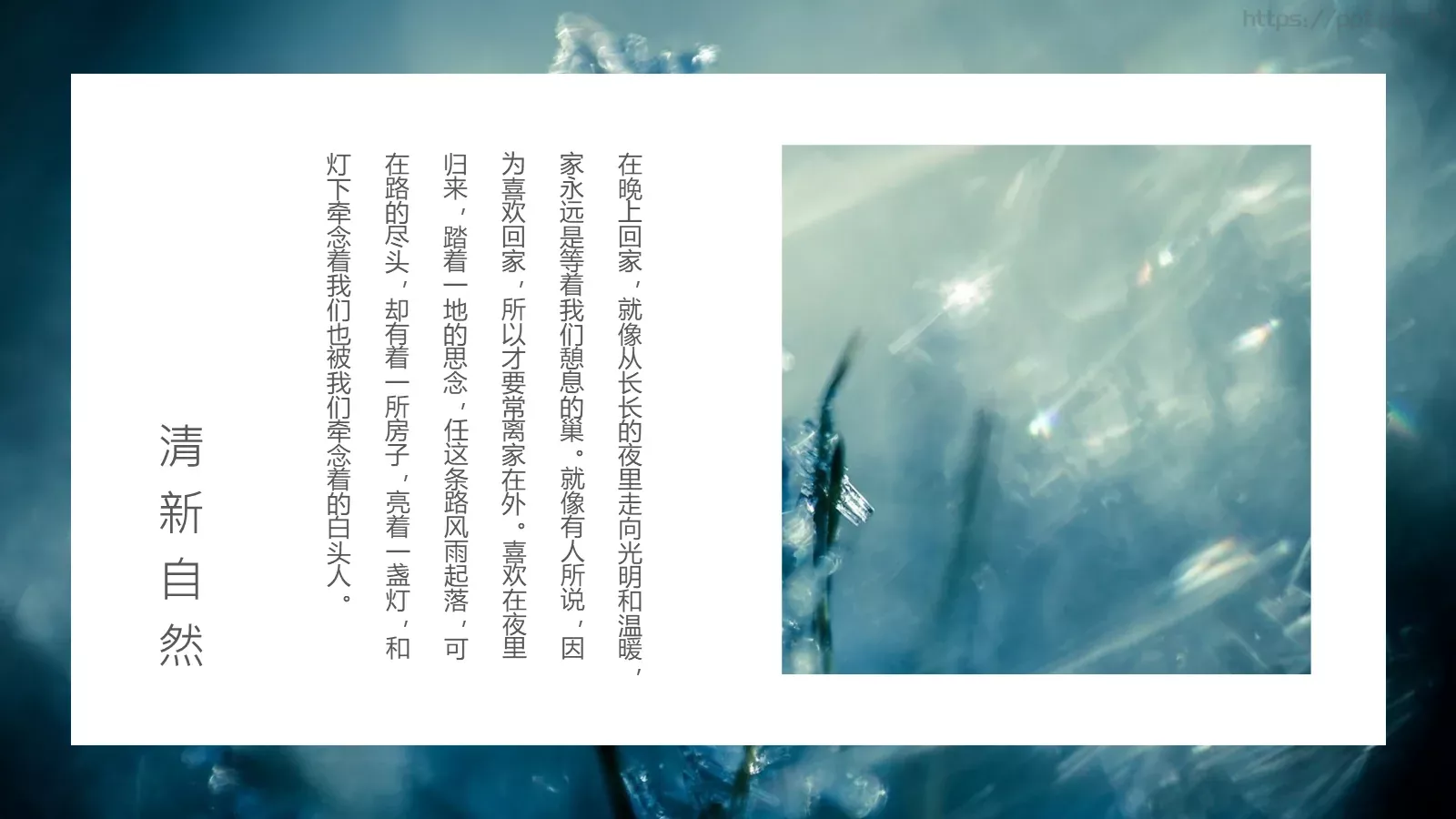 通用模板清新自然通用 第 5 页预览图