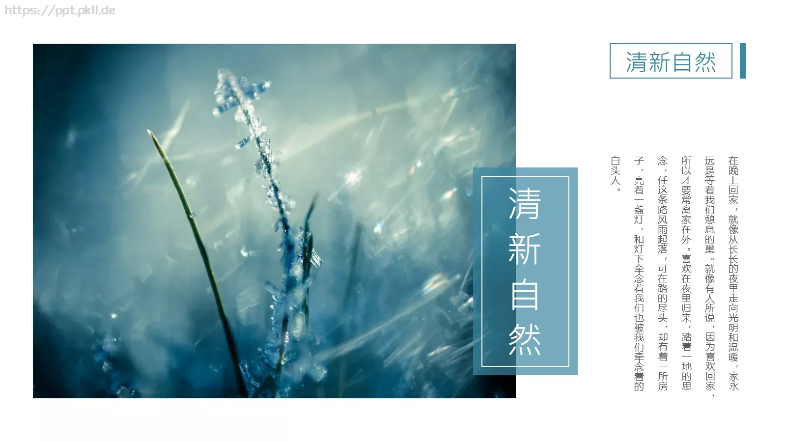 通用模板清新自然通用 第 15 页预览图