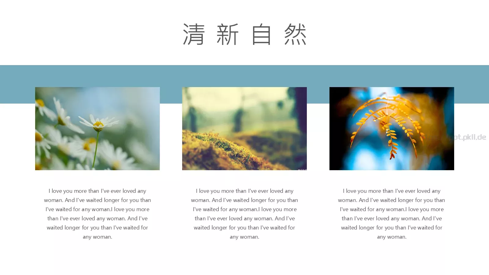 通用模板清新自然通用 第 16 页预览图
