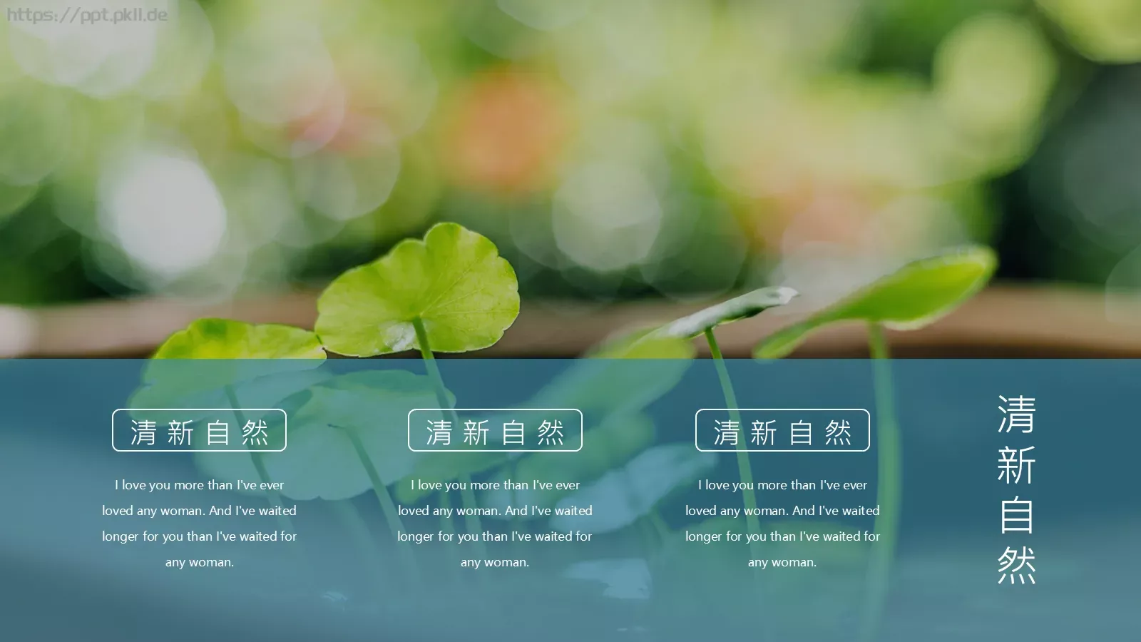 通用模板清新自然通用 第 22 页预览图
