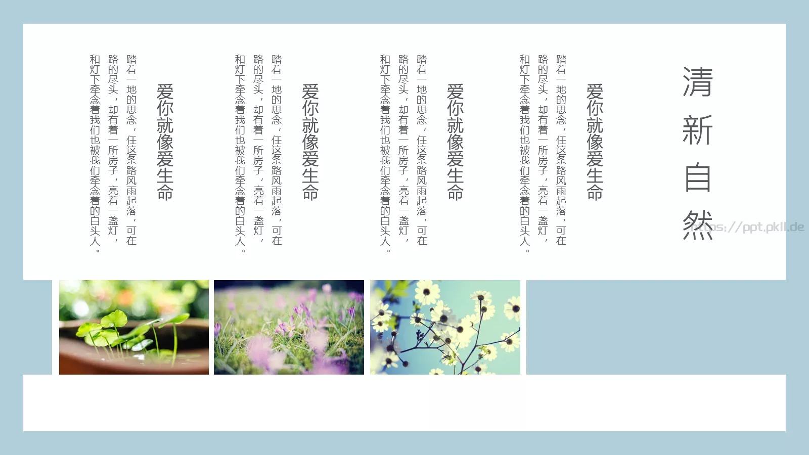 通用模板清新自然通用 第 23 页预览图