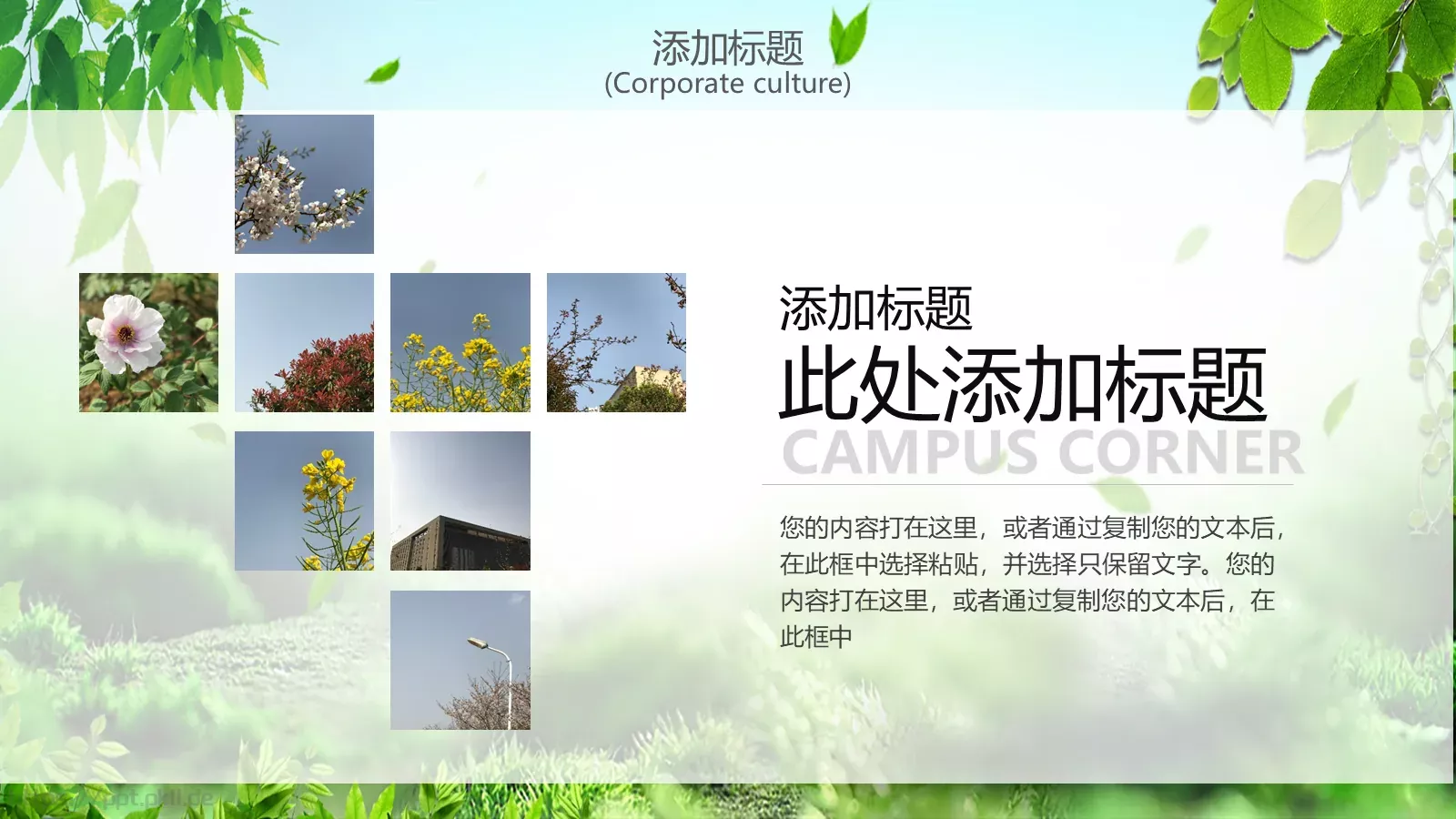 通用模板 第 13 页预览图