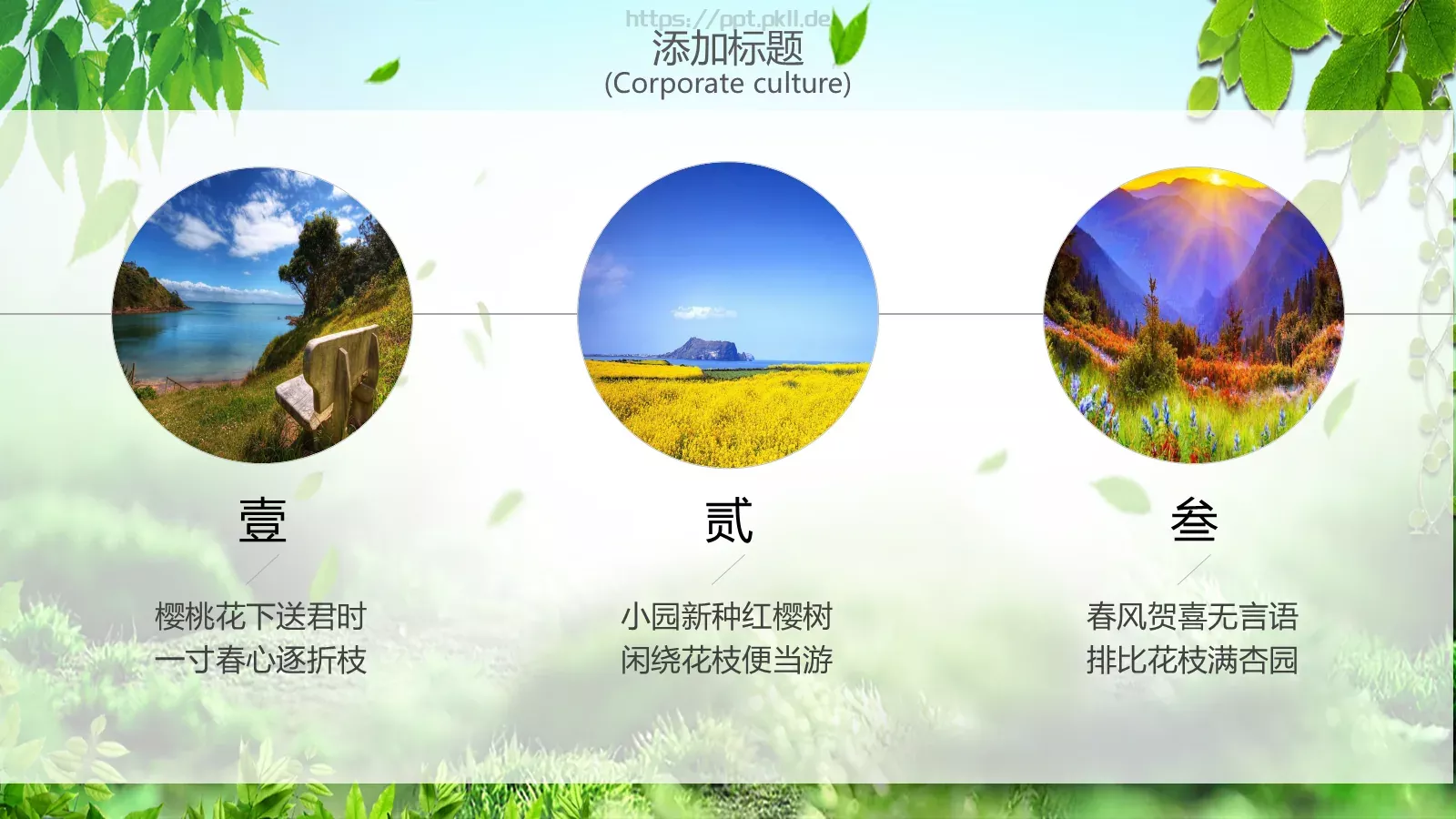 通用模板 第 17 页预览图