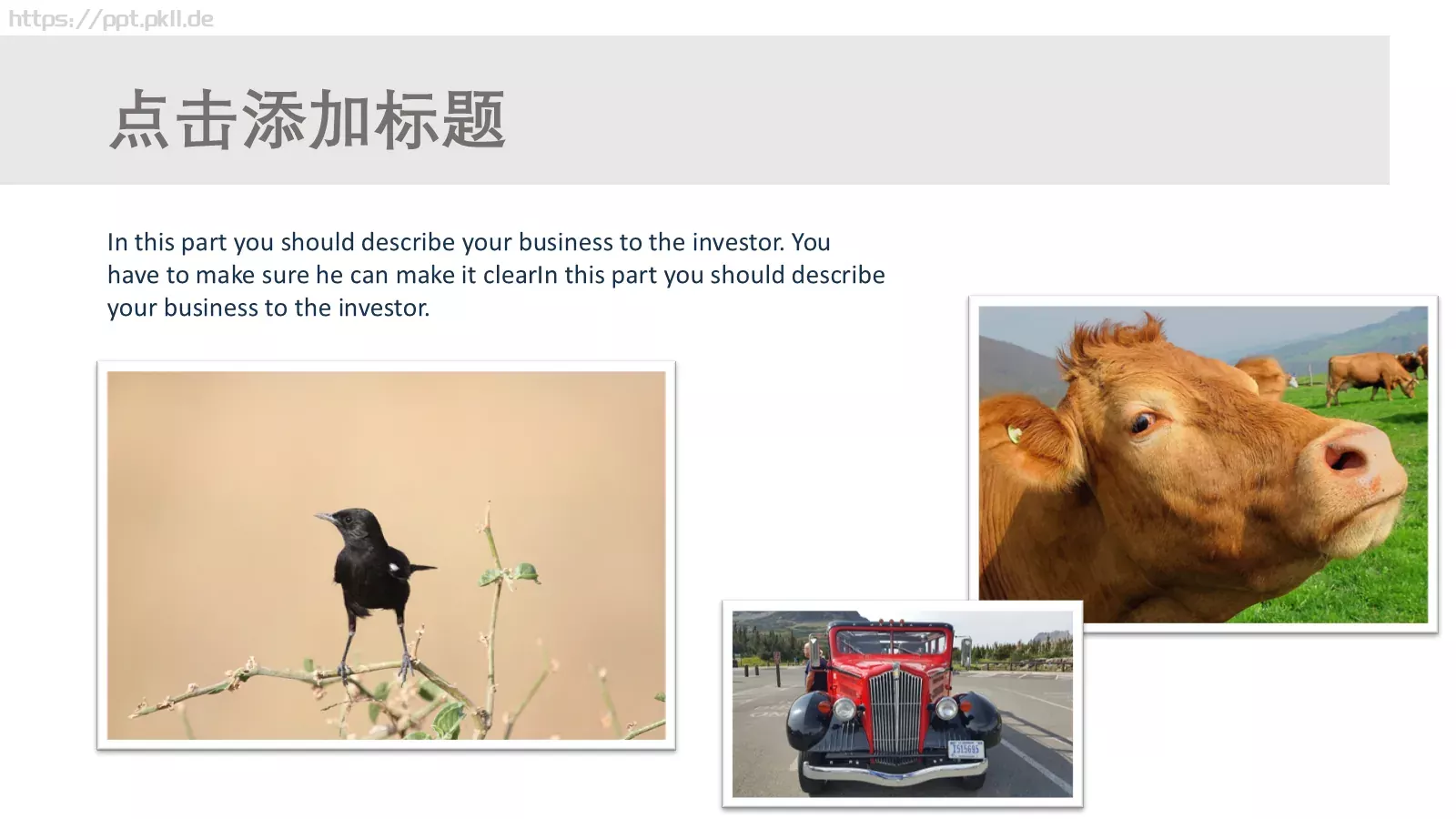 赏春旅行相册PPT模板 第 7 页预览图