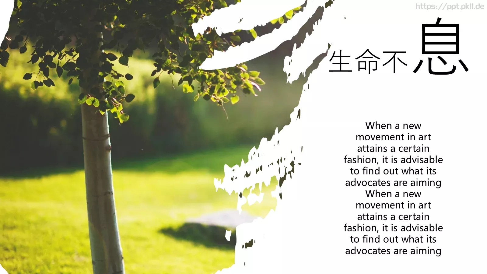 恋尚生活企业宣传PPT模板 第 18 页预览图
