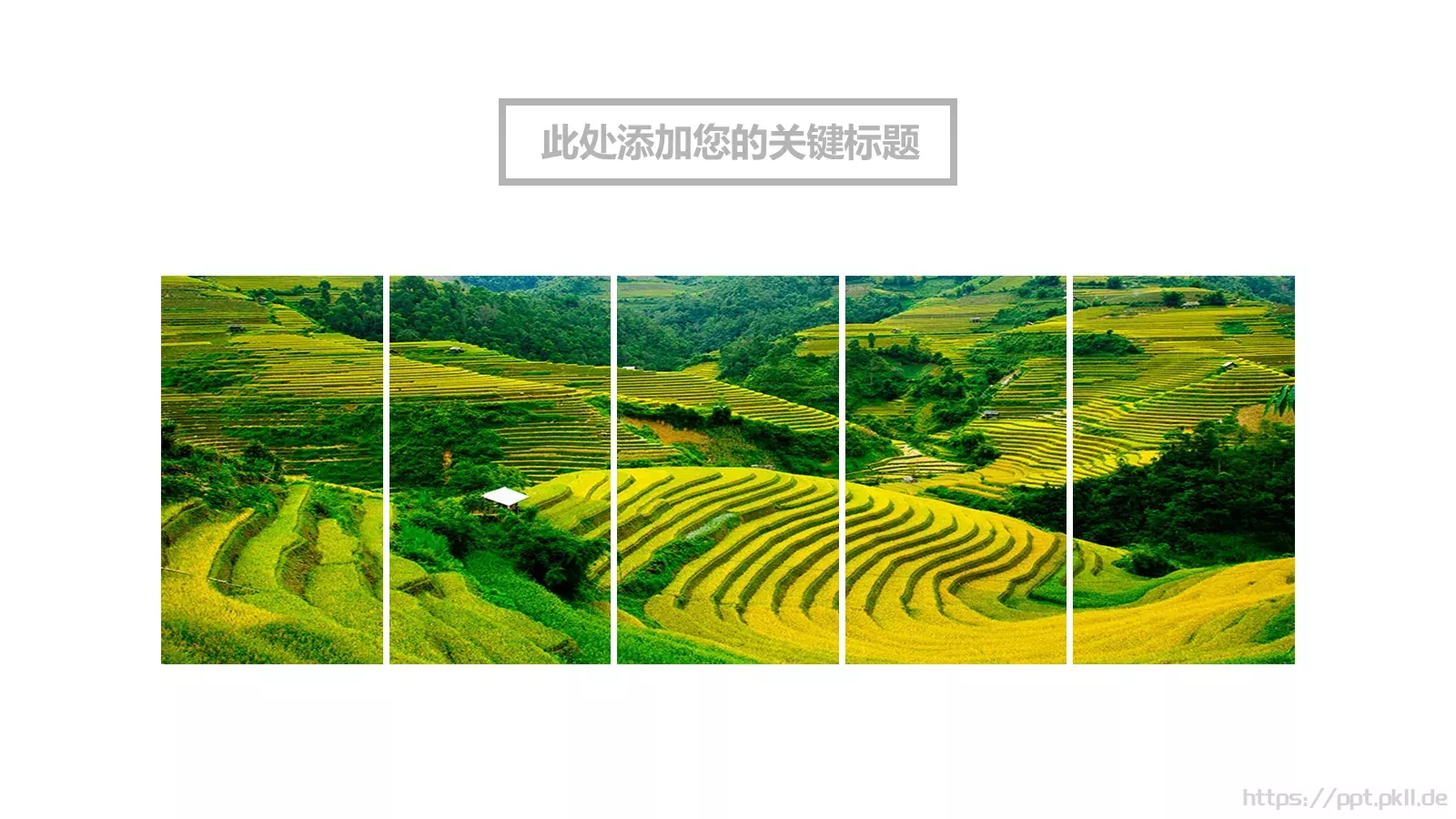 旅行日记PPT模板 第 8 页预览图