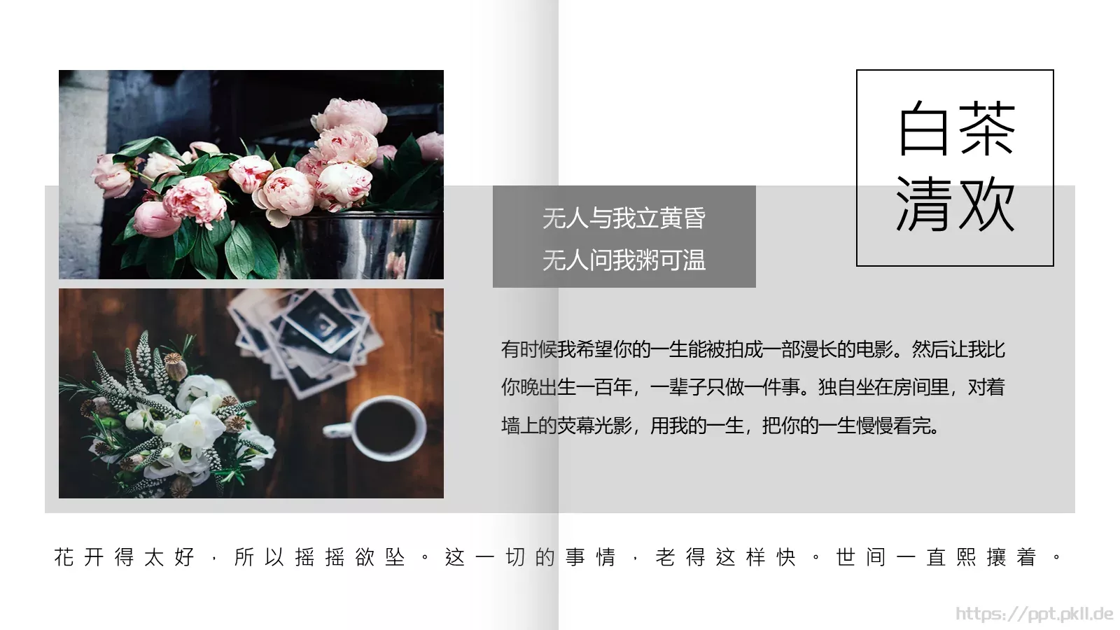 通用模板白茶清欢通用 第 5 页预览图