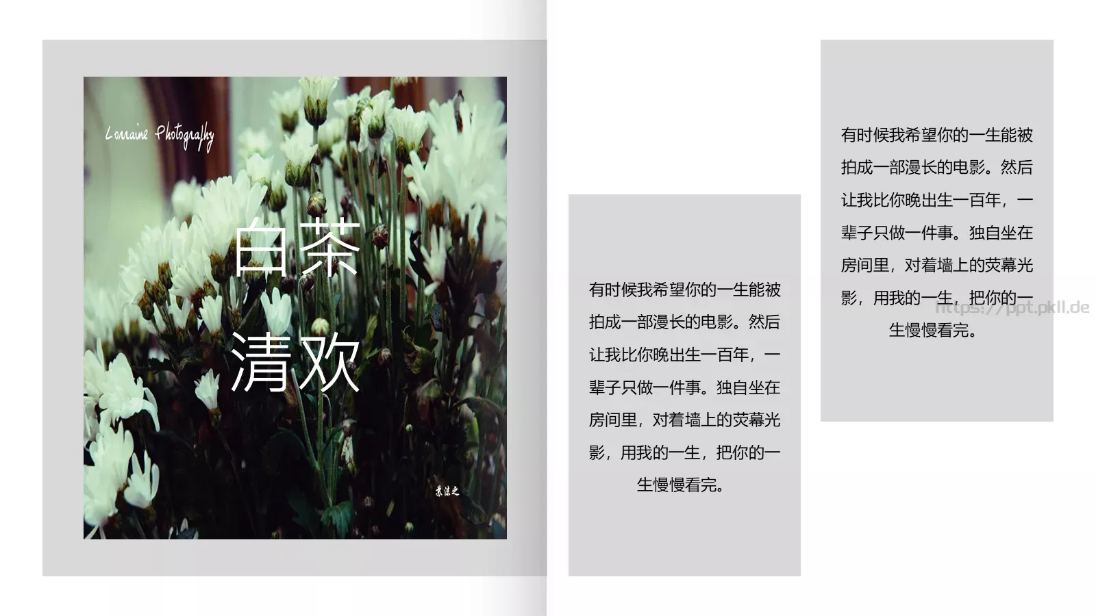 通用模板白茶清欢通用 第 11 页预览图