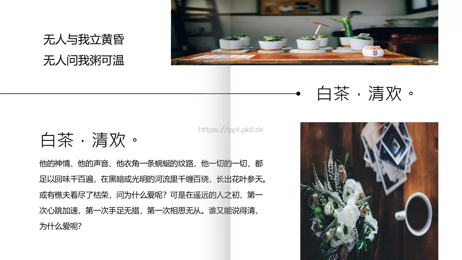通用模板白茶清欢通用 第 13 页预览图