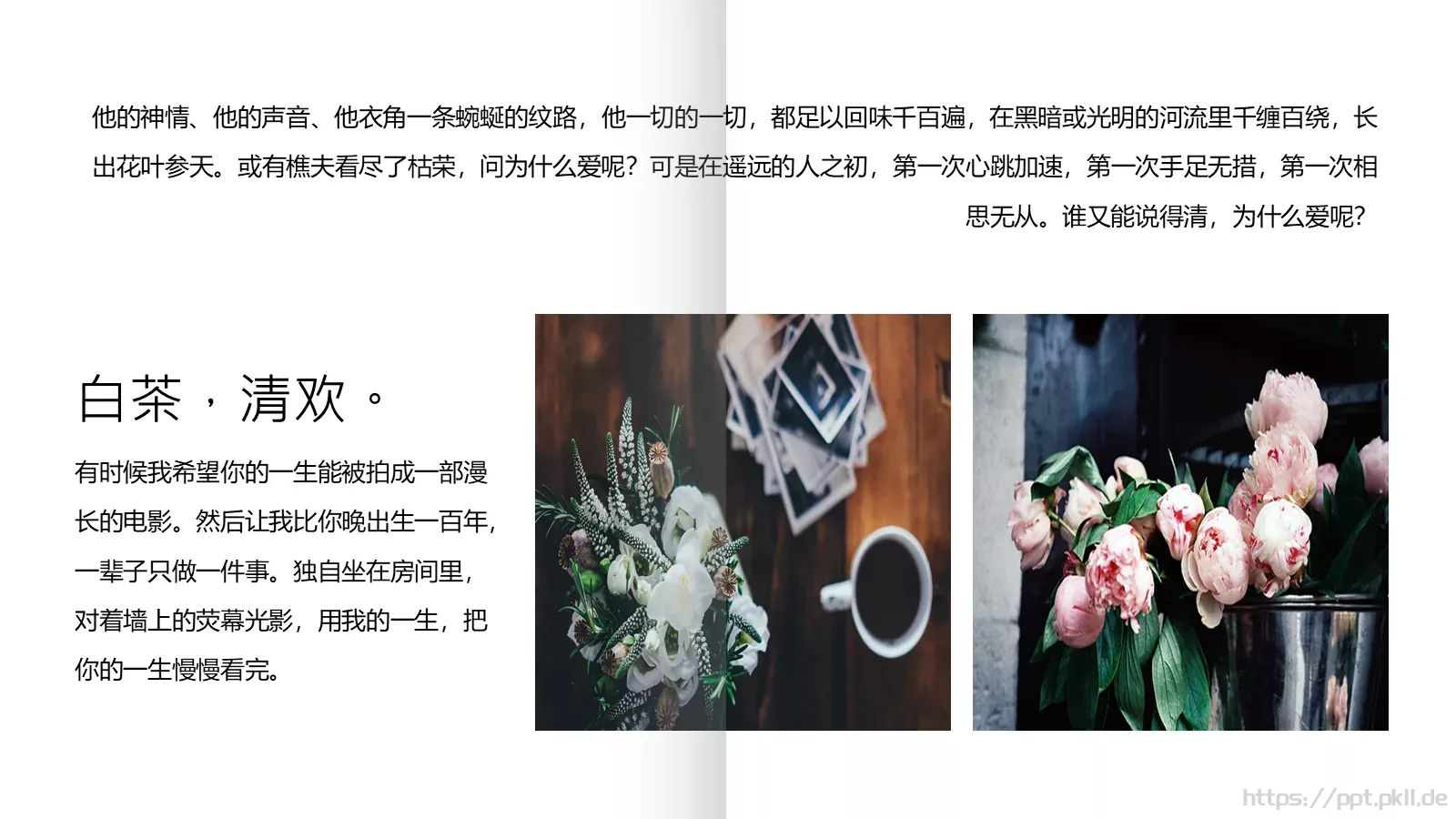 通用模板白茶清欢通用 第 15 页预览图