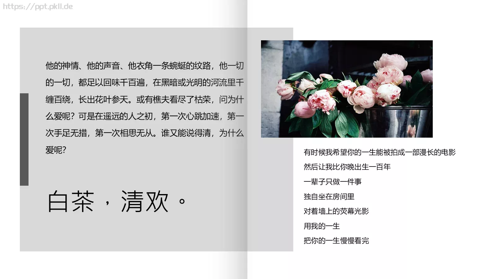 通用模板白茶清欢通用 第 16 页预览图