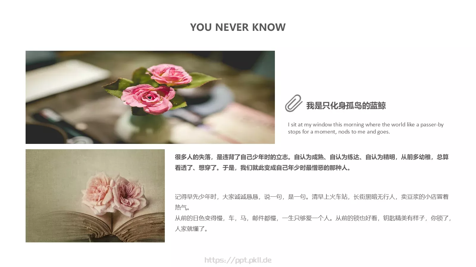 小清新相册PPT模板 第 9 页预览图