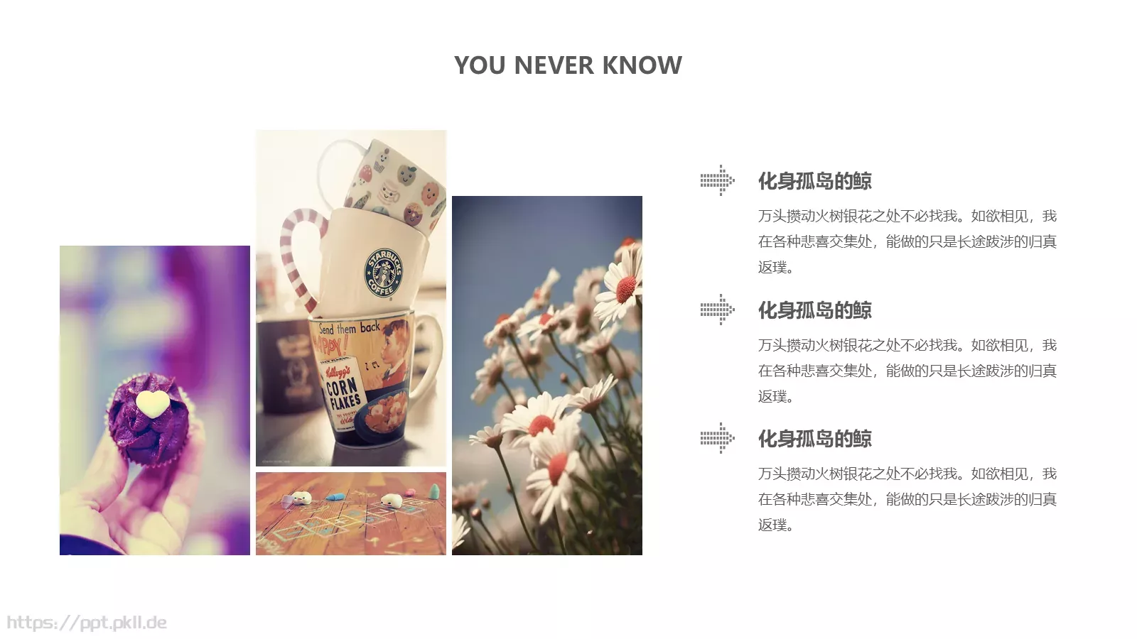 小清新相册PPT模板 第 13 页预览图