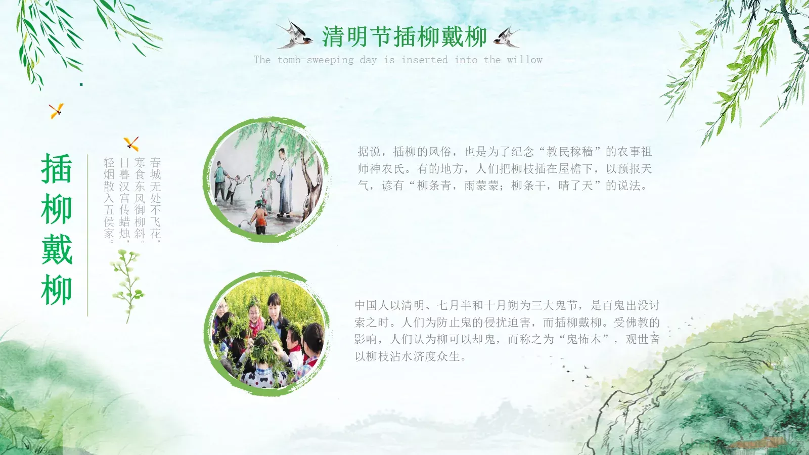 清明节51成品PPT模板 第 14 页预览图