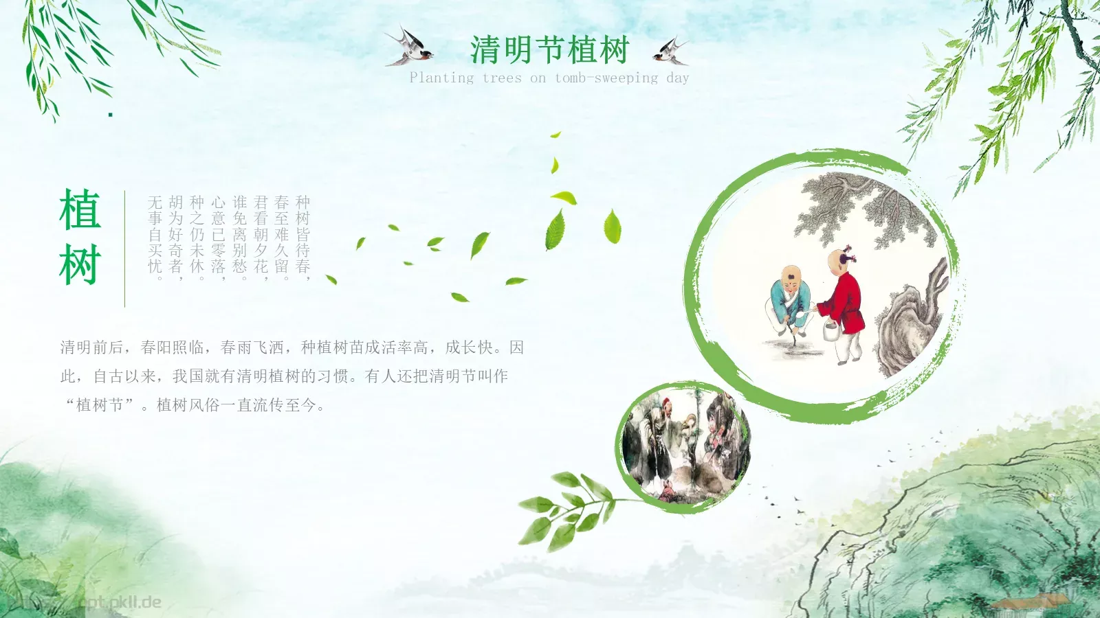 清明节51成品PPT模板 第 21 页预览图