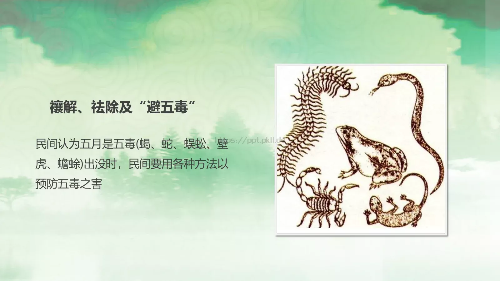 节日庆典端午节通用PPT模板 第 19 页预览图