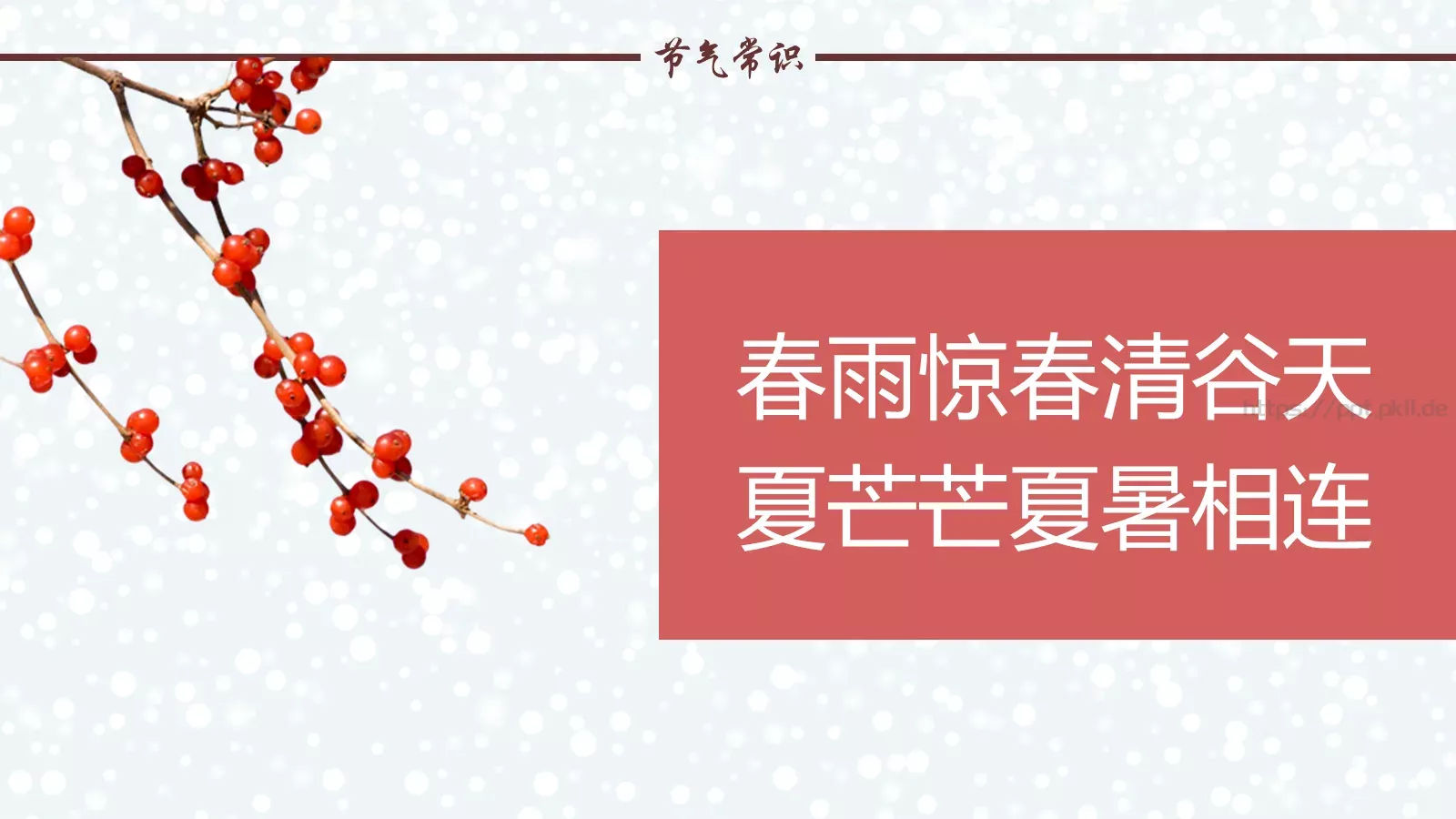 绘本故事节气故事PPT模板 第 5 页预览图