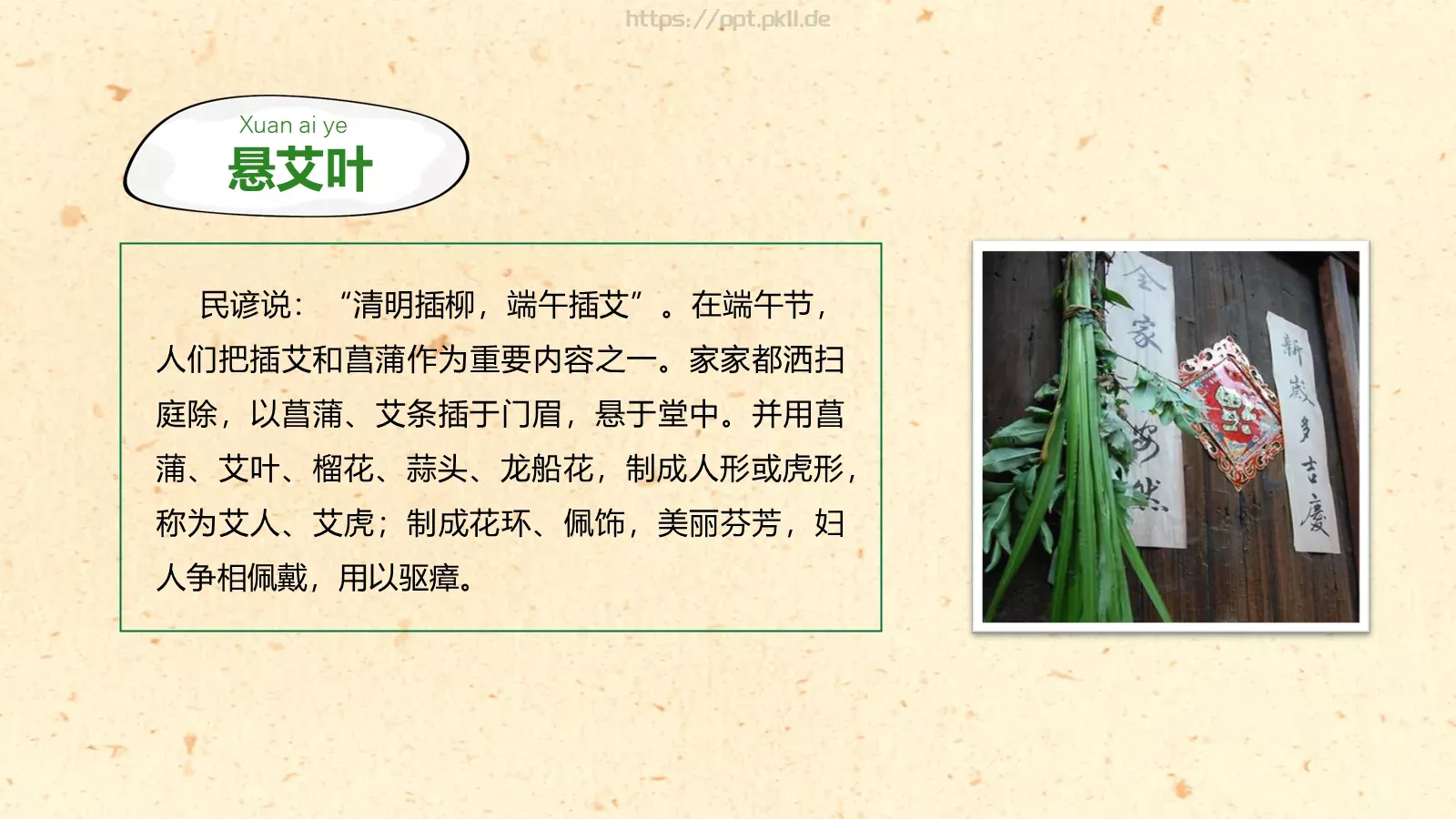 节日庆典端午节通用PPT模板 第 16 页预览图