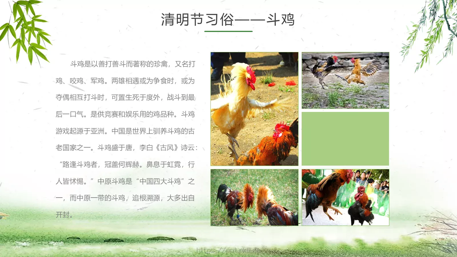 清明节主题PPT模板 第 17 页预览图