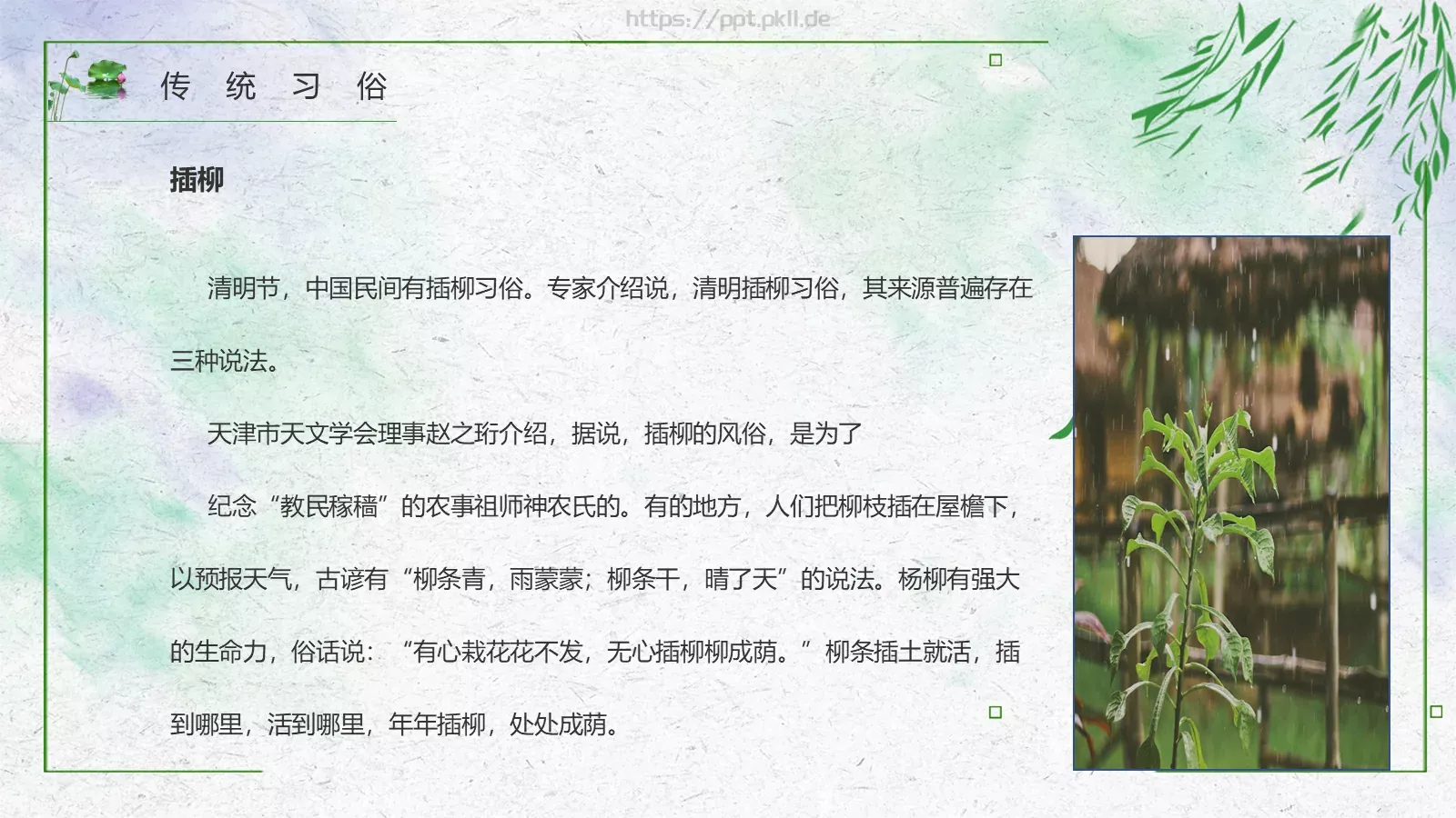 清明节PPT模板 第 13 页预览图
