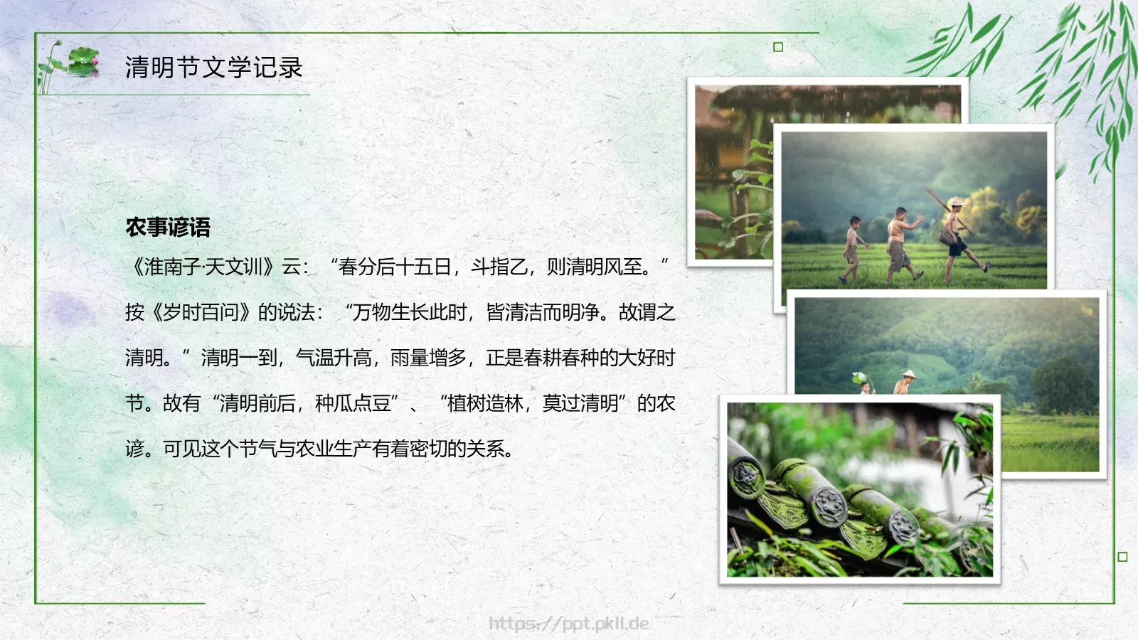 清明节PPT模板 第 21 页预览图
