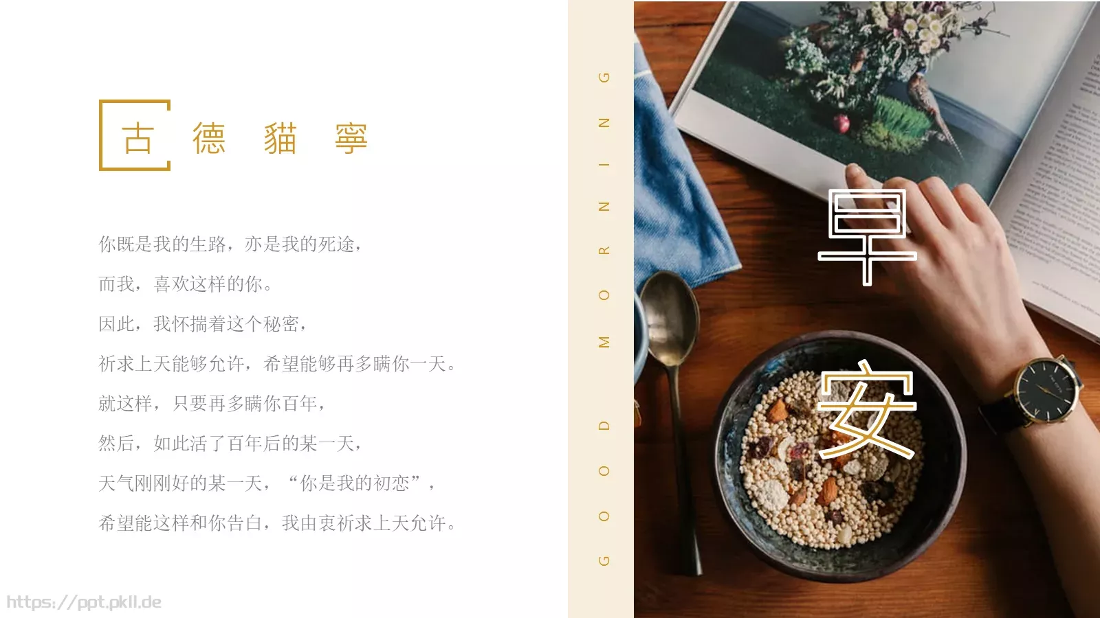 通用模板古德猫宁通用 第 3 页缩略图