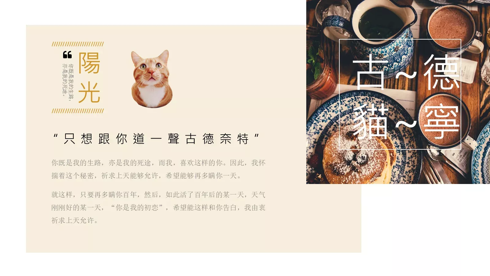 通用模板古德猫宁通用 第 15 页预览图