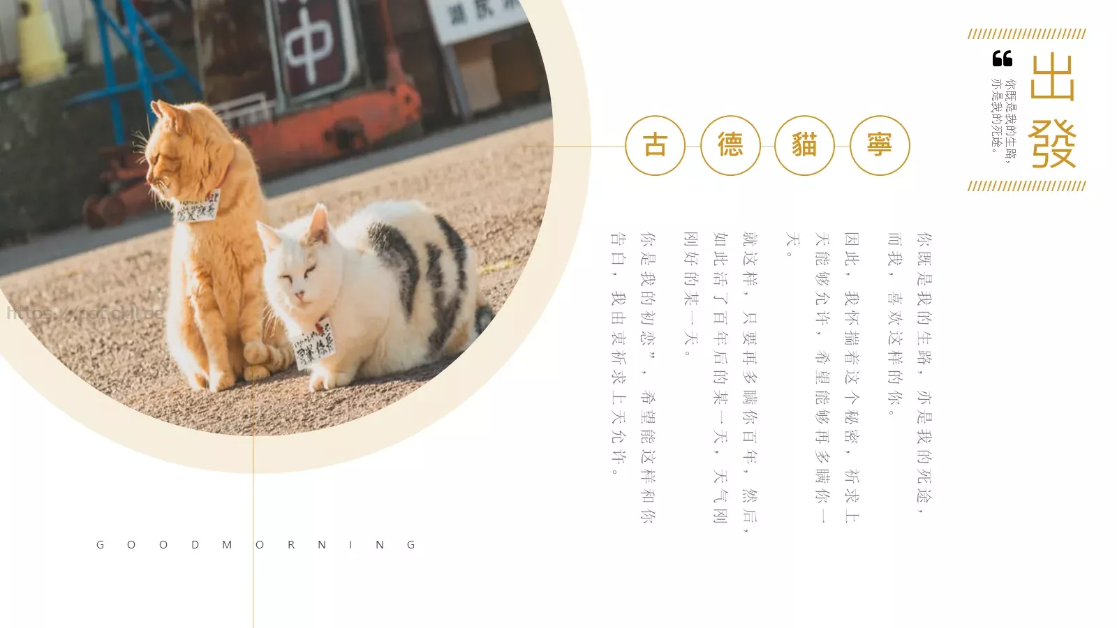 通用模板古德猫宁通用 第 18 页预览图